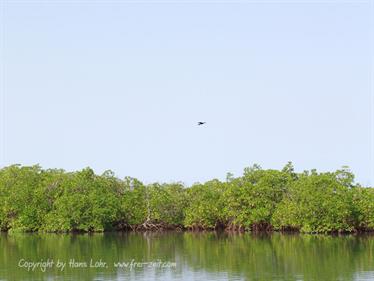 Gambia 05 Ausflug ins Saloum-Delta und zur Insel Ginack,_DSC00849b_B740